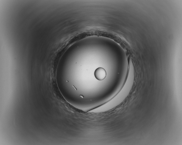 X0000115530965200911131502