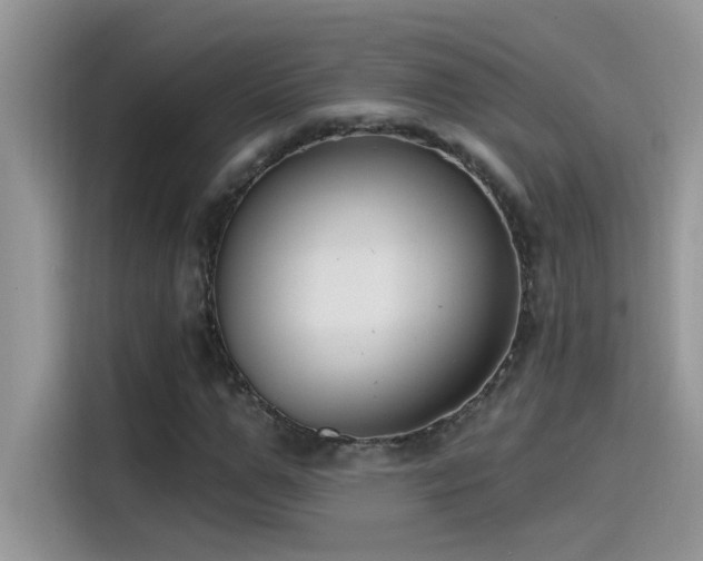 X0000115530967200911131502