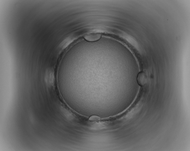 X0000115530969200911131502