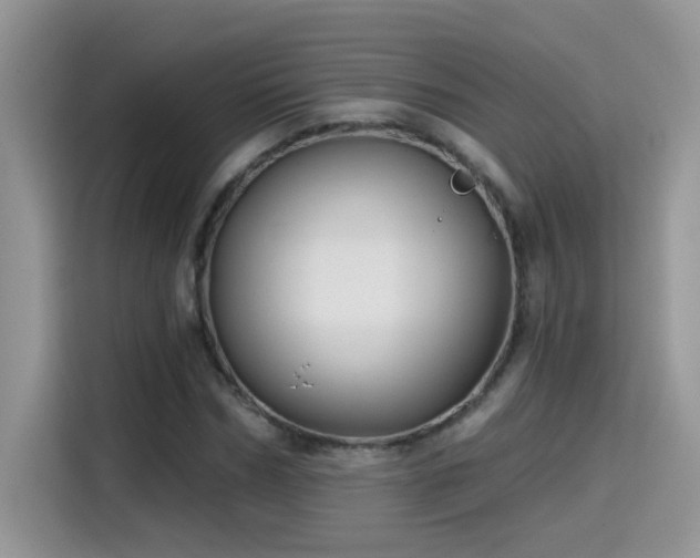 X0000115530970200911131502