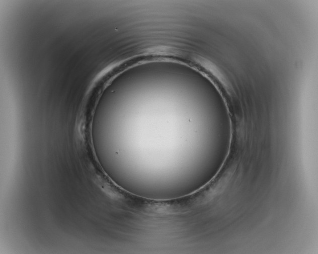 X0000115530971200911131502