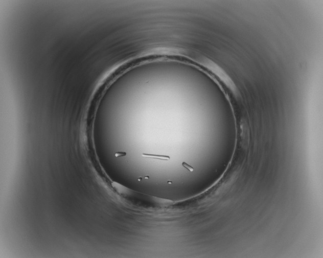 X0000115530972200911131502