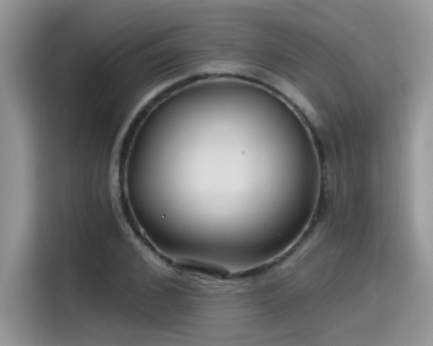 X0000115530976200911131502