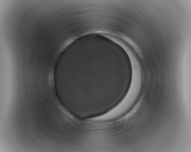 X0000115530977200911131502