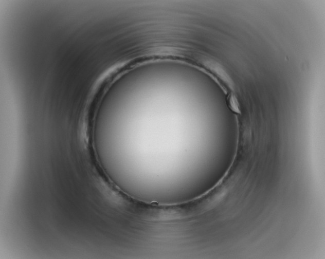 X0000115530979200911131502