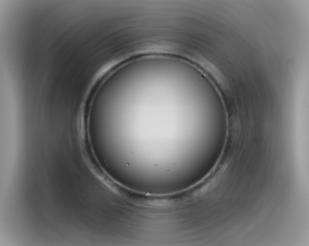 X0000115530982200911131502