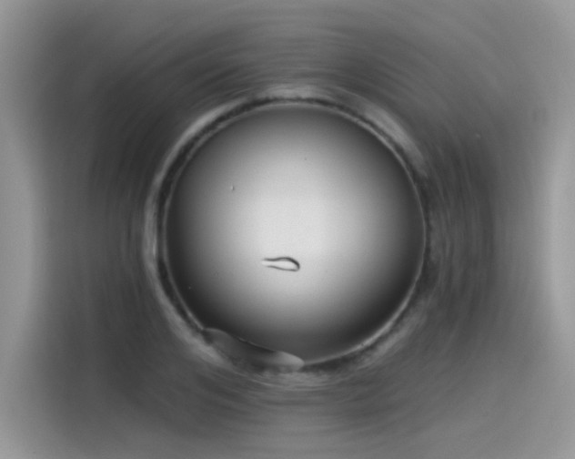 X0000115530984200911131502