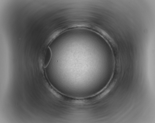 X0000115530985200911131502