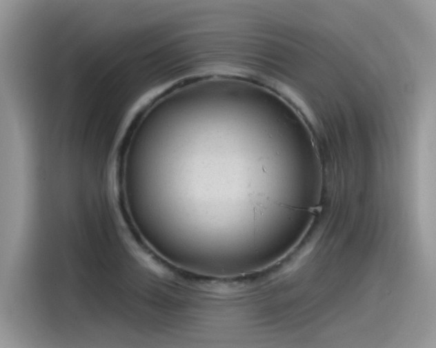 X0000115530987200911131502