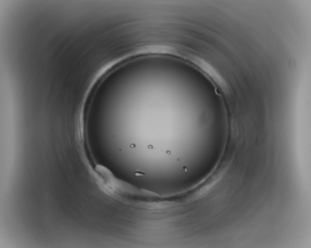 X0000115530988200911131502