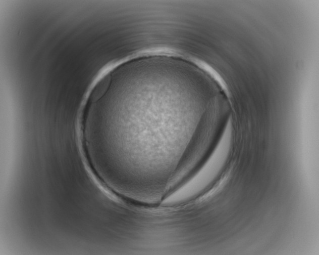 X0000115530989200911131502