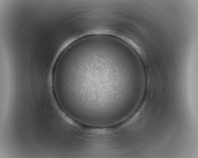 X0000115530990200911131502