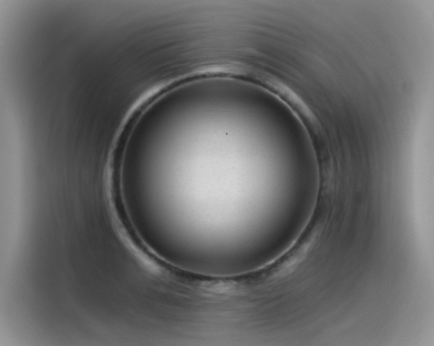 X0000115530991200911131502