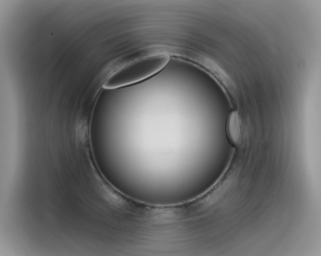 X0000115530993200911131502