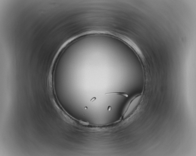 X0000115530996200911131502