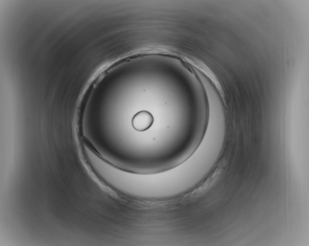 X0000115530997200911131502