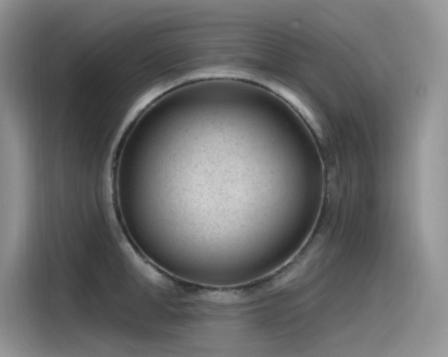 X0000115530998200911131502