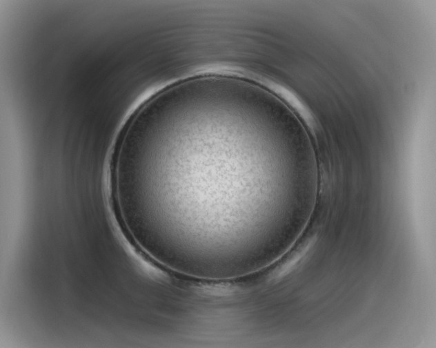 X0000115530999200911131502