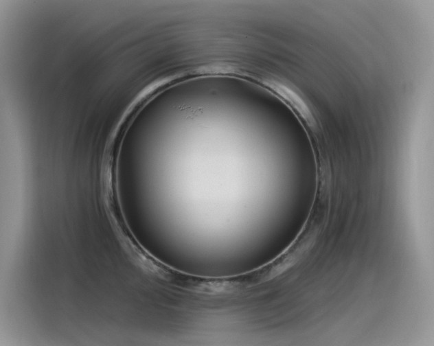 X0000115531000200911131502