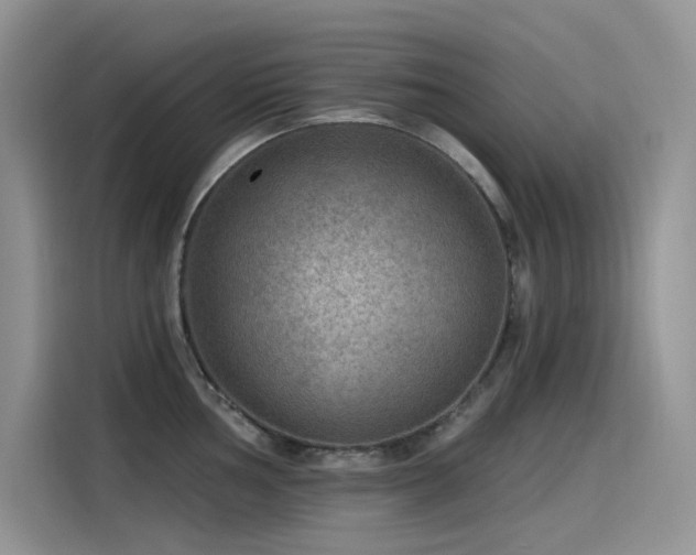 X0000115531002200911131501