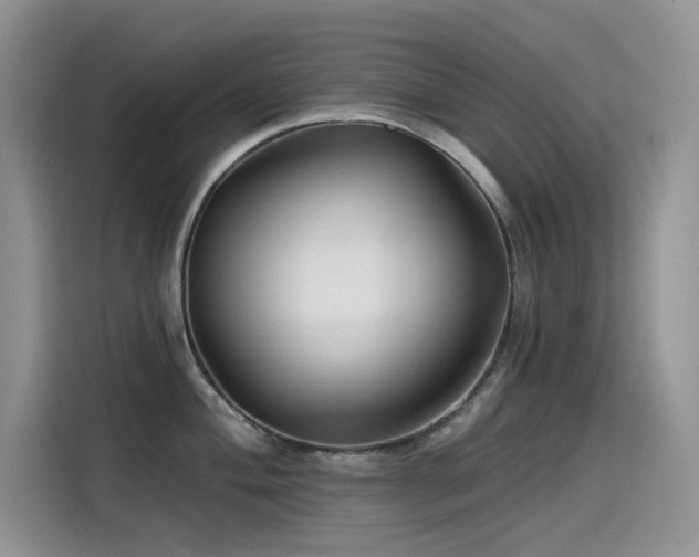 X0000115531004200911131501