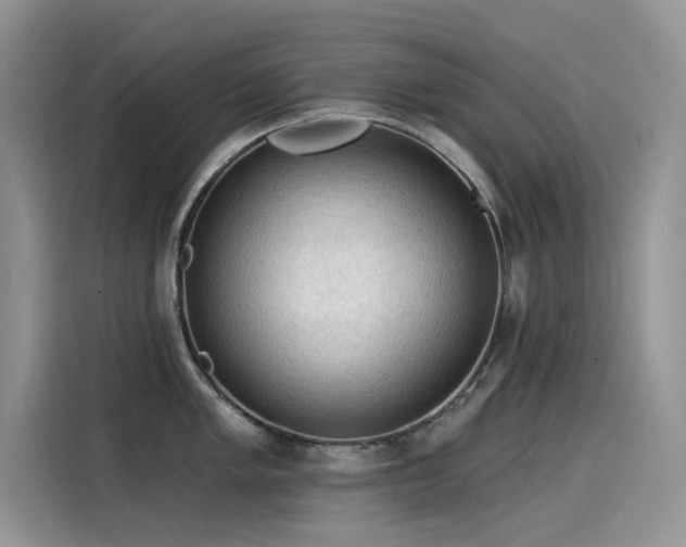 X0000115531005200911131501