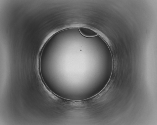 X0000115531006200911131501