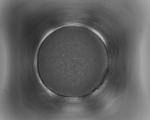 X0000115531007200911131501