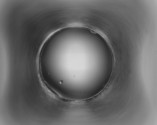 X0000115531008200911131501