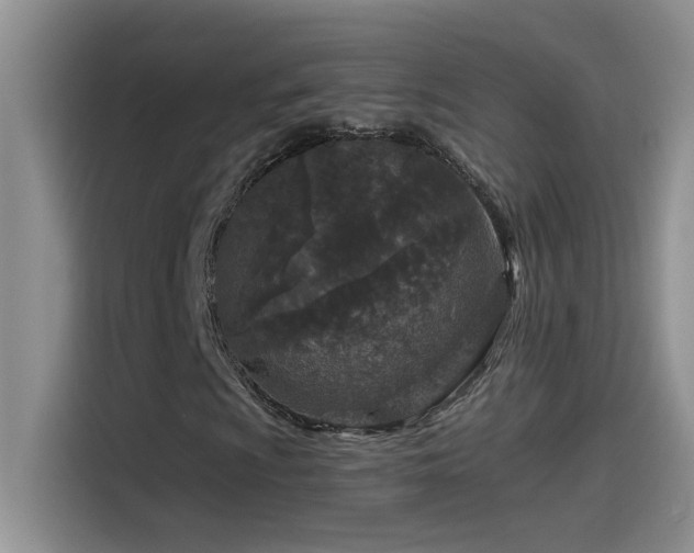 X0000115531009200911131501