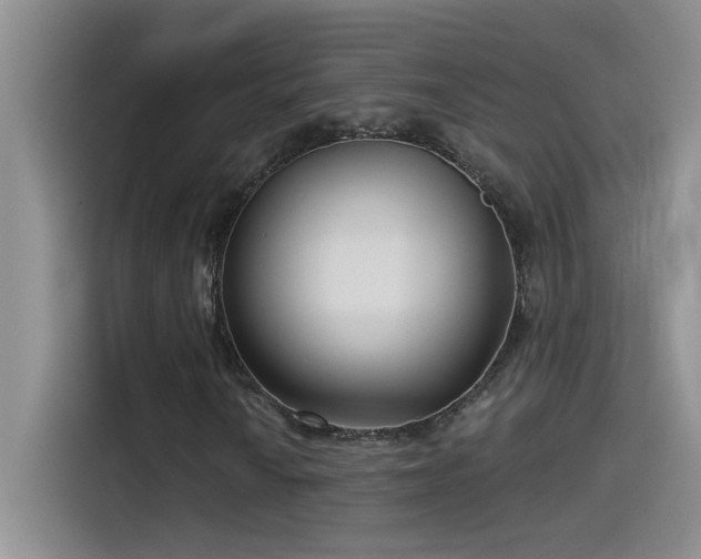 X0000115531010200911131501