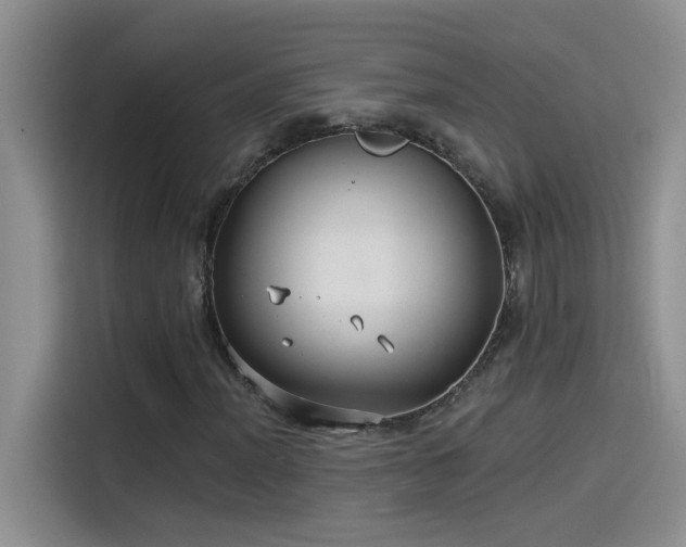 X0000115531012200911131501