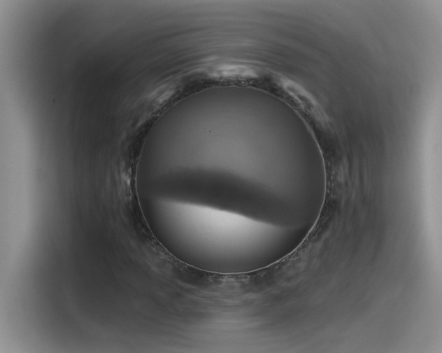 X0000115531013200911131501