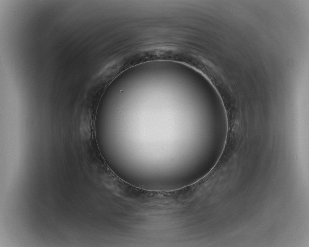 X0000115531014200911131501