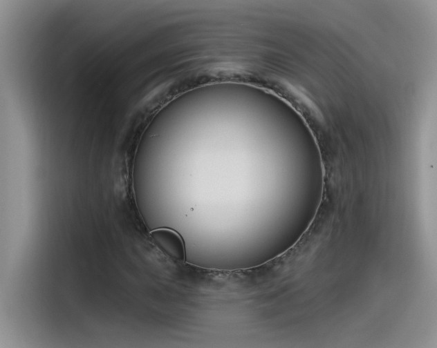 X0000115531015200911131501