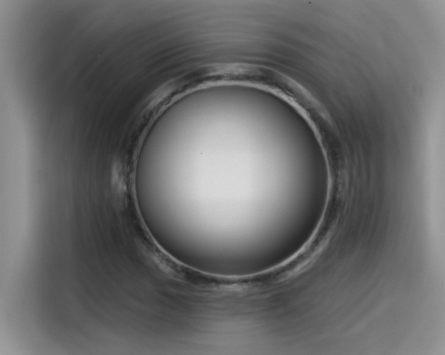 X0000115531017200911131501