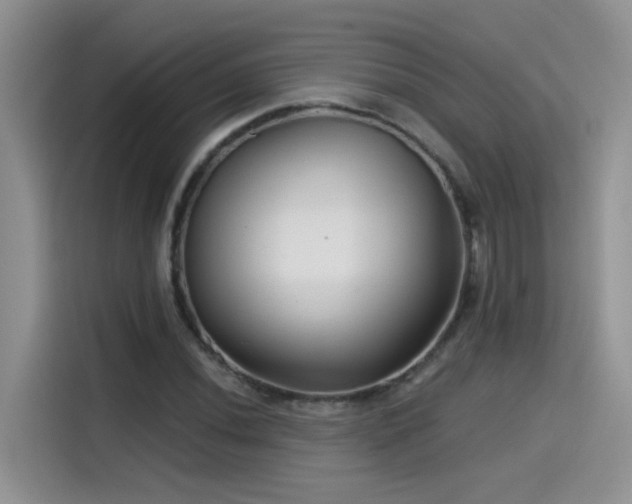 X0000115531020200911131501