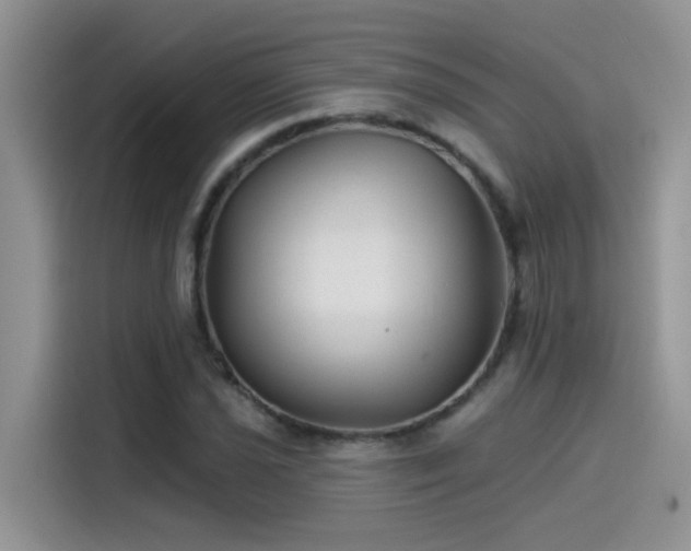 X0000115531021200911131501