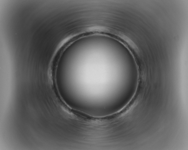 X0000115531022200911131501