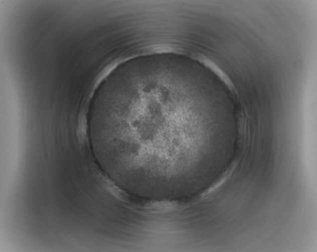 X0000115531023200911131501