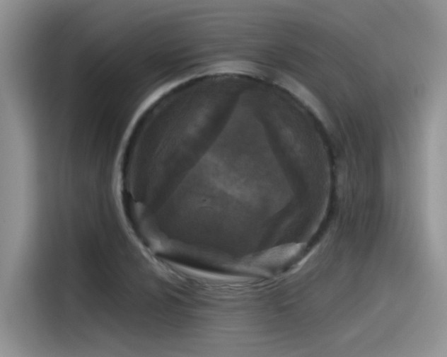 X0000115531024200911131501