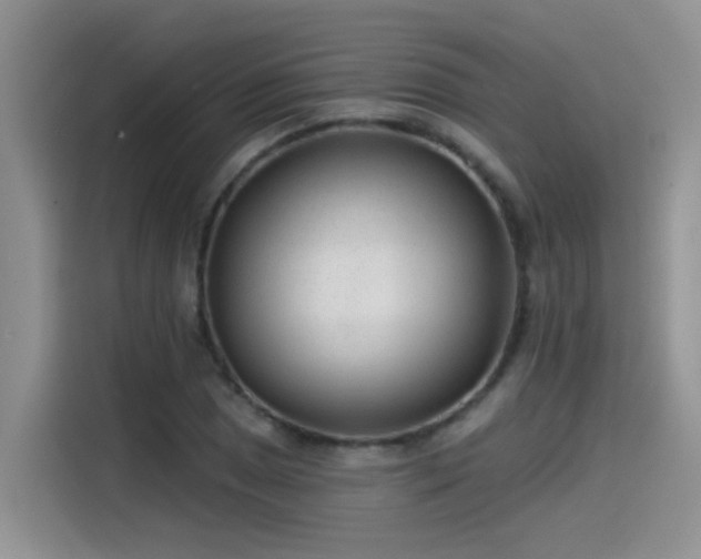 X0000115531025200911131501