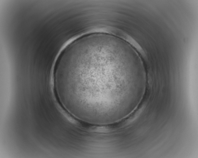 X0000115531028200911131501