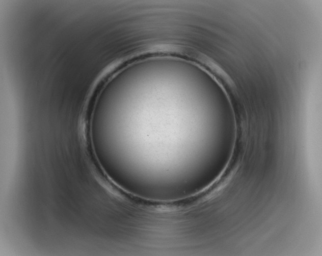 X0000115531029200911131501