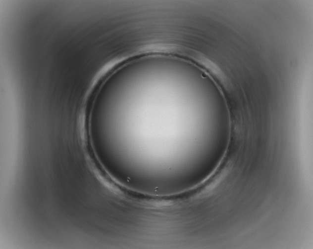 X0000115531030200911131501