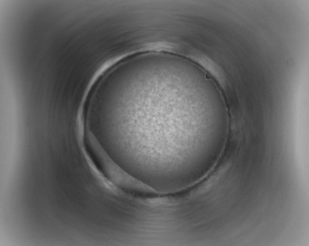 X0000115531032200911131501