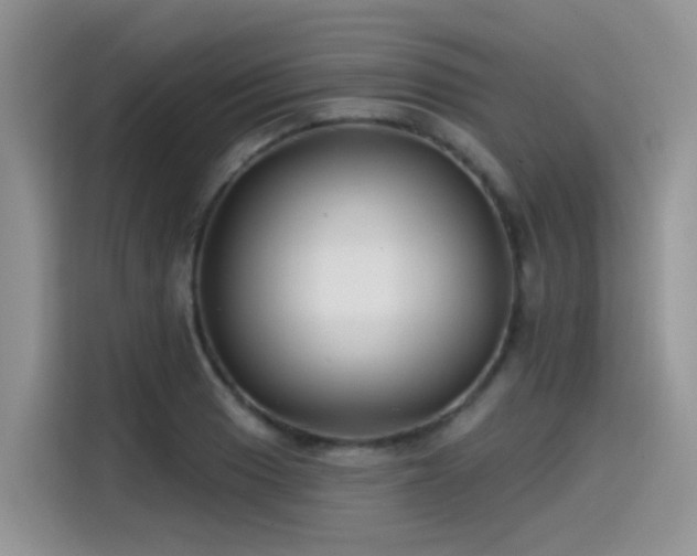 X0000115531033200911131501