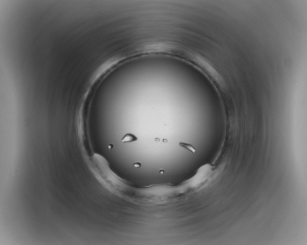 X0000115531034200911131501