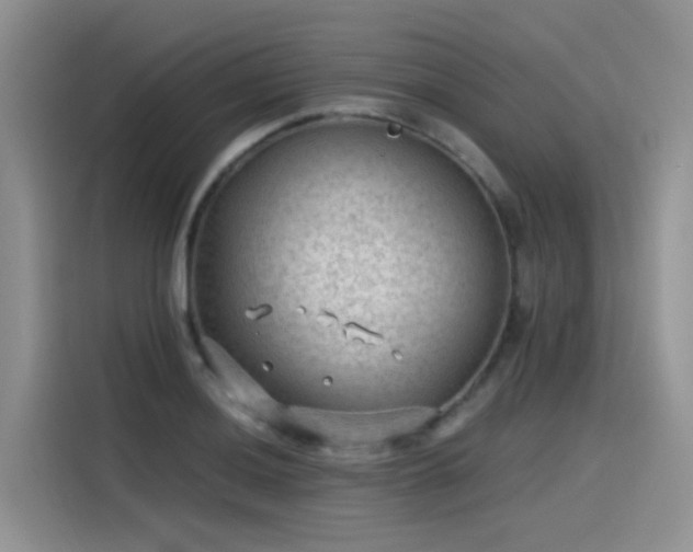 X0000115531036200911131501