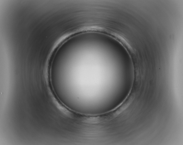 X0000115531038200911131501